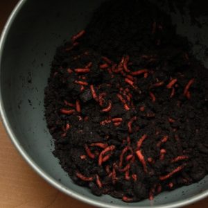 Soos The Basement Kruidenwijk Nijverdal  - 31 oktober 2025